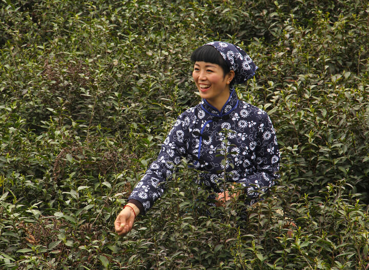暗房直播